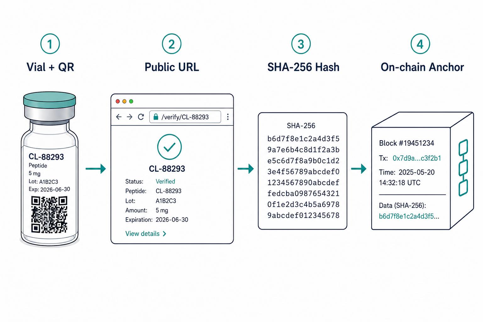 Four-step verification flow: peptide vial with QR code, public verify URL, SHA-256 hash, and on-chain anchor block